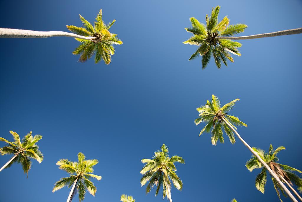 Emaho Sekawa Resort Savusavu Exteriér fotografie