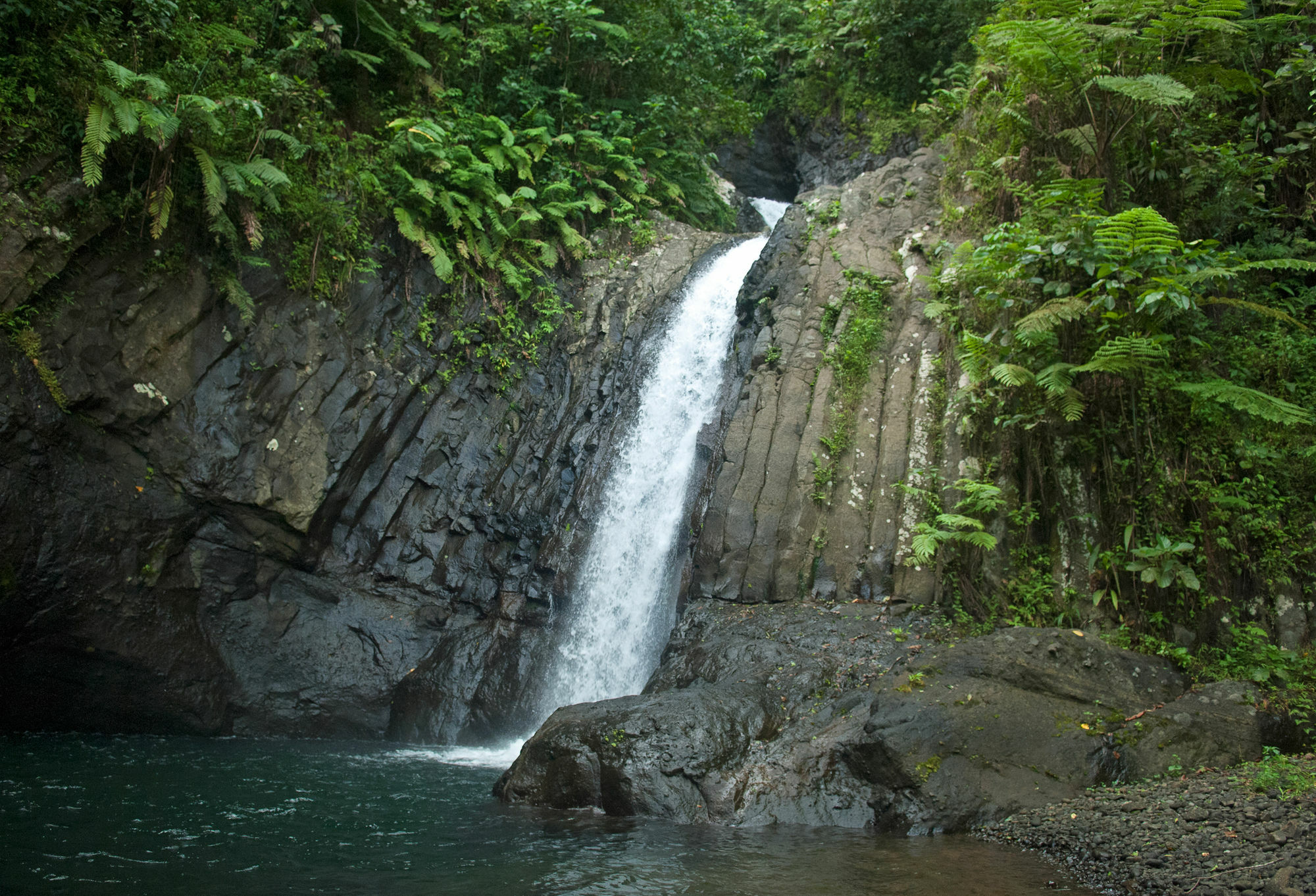 Emaho Sekawa Resort Savusavu Exteriér fotografie